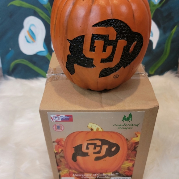 University of Colorado official collegiate pumpkin from Cumberland Designs - Picture 2 of 3